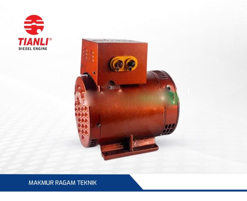 Tianli ST-3 3KW Dynamo Alternator