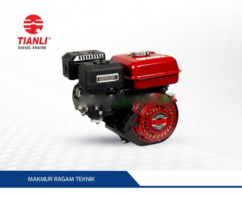 Tianli TGE200 Gasoline Engine